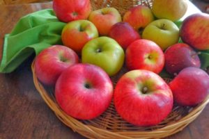 Опис сорте Первоуралскоие сорте јабука, карактеристике плодова и региони узгоја