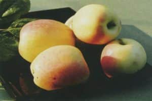 Popis odrůdy jablek Rizhsky Golubok, výnosové charakteristiky a pěstitelské oblasti