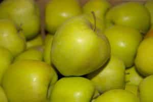 Beschrijving en variëteiten van Golden Delicious-appels, teelt- en verzorgingsregels