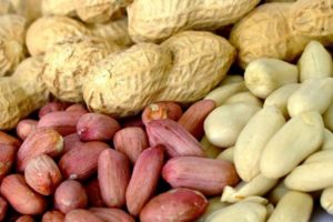 Dommages et avantages des arachides pour le corps humain, propriétés et vitamines des arachides