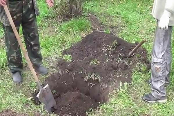 het graven van aarde