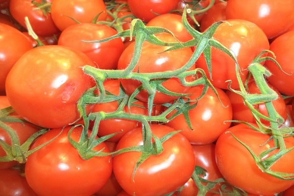 sappige tomaten