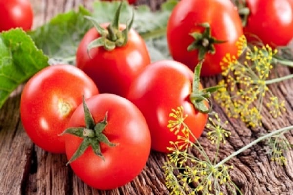 standartiniai pomidorai