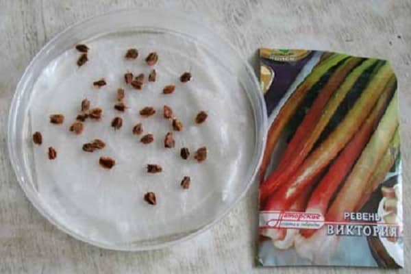 seeds for sowing