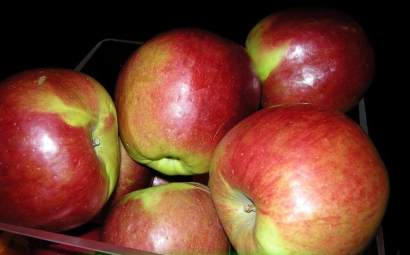 äppelträd ligol
