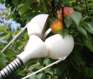 Olika enheter för att plocka äpplen och hur man gör det själv