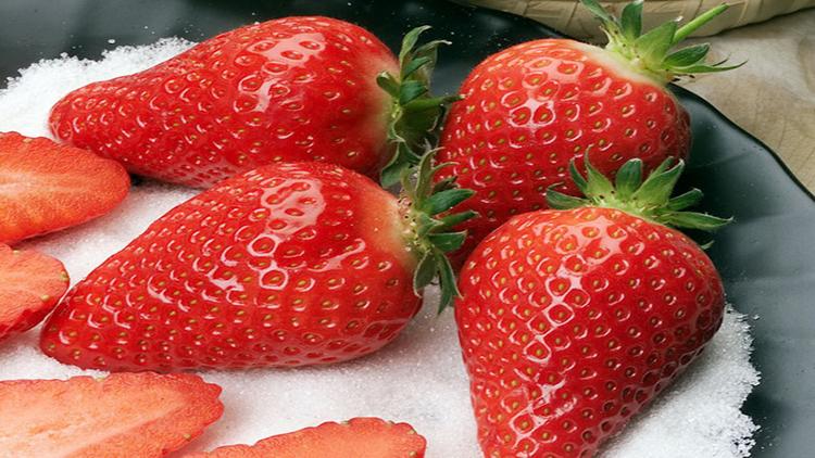strawberry alba