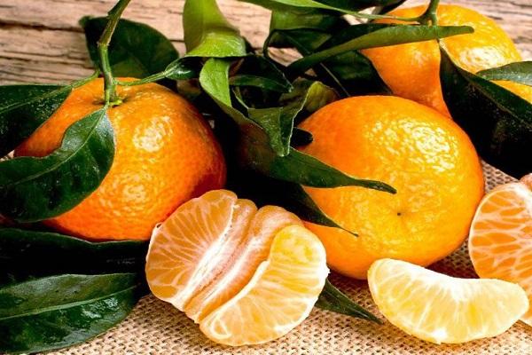 výber citrusov