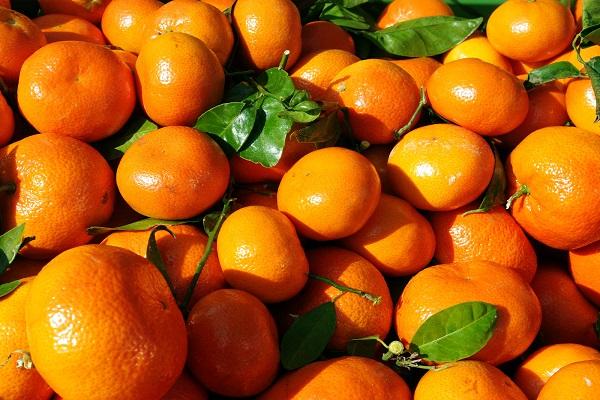 oranžové vitamíny