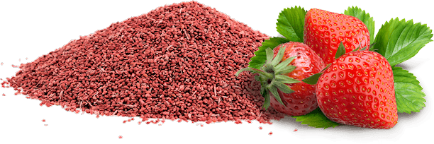 Strawberry seeds