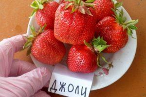 Beskrivning och egenskaper hos jordgubbssorten Jolie, odling och reproduktion