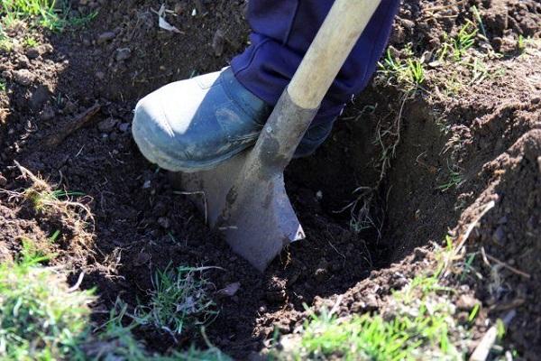 cavando un hoyo