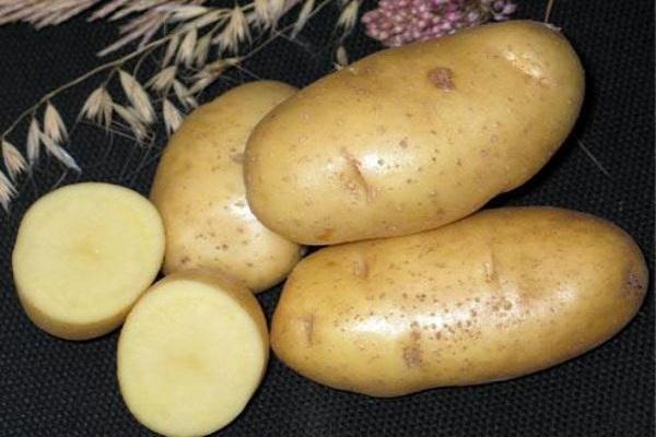 sandrine potatis