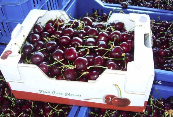 dėžutės su vyšniomis