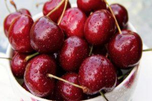 Vyšnių veislių „Vasilisa“ savybės ir aprašymas, sodinimas ir priežiūra