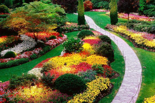 gražus gėlių sodas