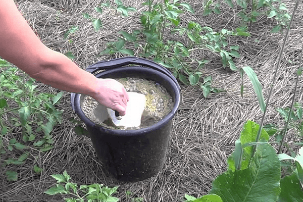 plantefodring