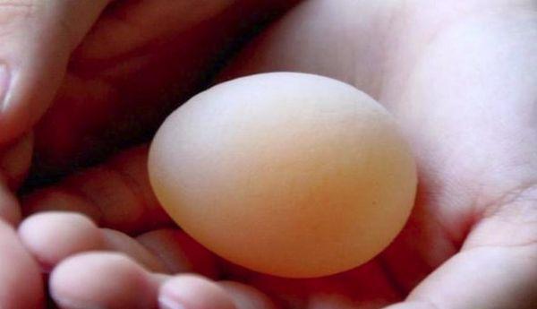 јаје танке љуске