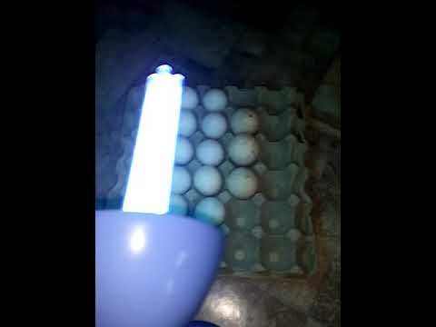vaječný kremeň