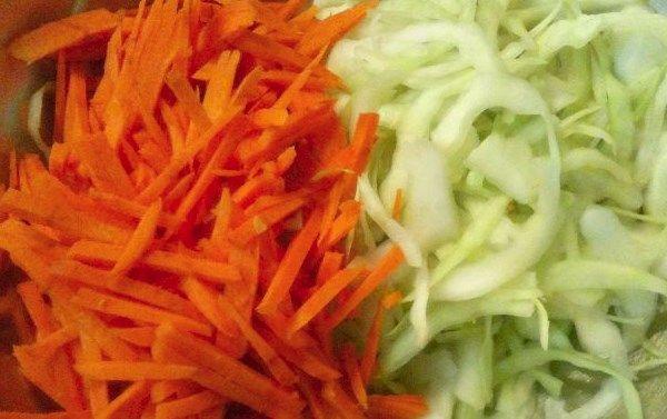 repollo y zanahorias