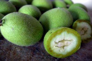 Kdy a jak správně sbírat zelené ořechy, pravidla skladování