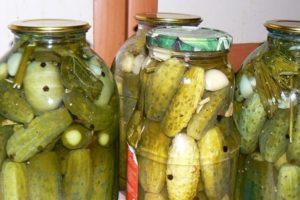 A step-by-step recipe for pickling cucumbers in a village for the winter in jars