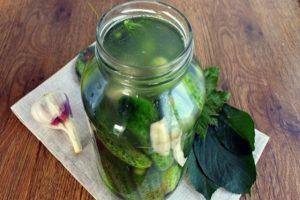 TOP 6 recepten voor het maken van ingelegde komkommers met mierikswortel voor de winter