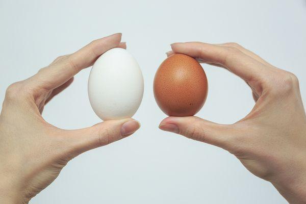 hai quả trứng