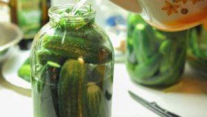 TOP 3 recepten voor gezouten knapperige komkommers voor de winter in potjes op een hete manier