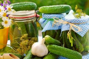 Eenvoudige recepten voor ingemaakte krachtige komkommers voor de winter in potten