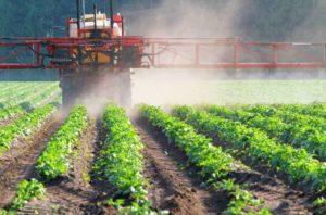 Útmutatások a Balerina herbicid használatához és a fogyasztási arányok