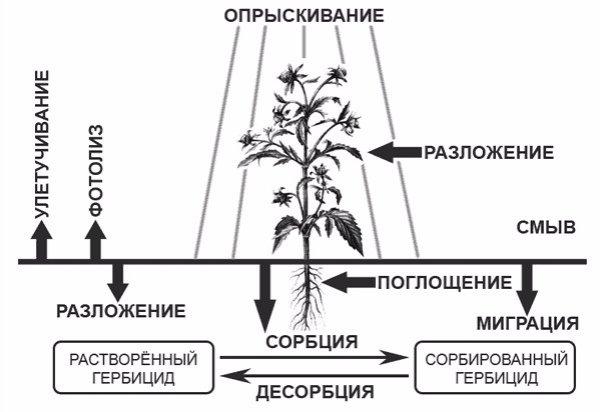cálculo de herbicidas