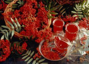 TOP 16 paprastų raudonųjų šermukšnių uogienių receptų žiemai namuose