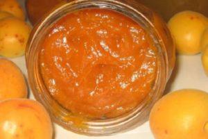 TOPP 14 recept för matlagning av konserverade aprikoser för vintern
