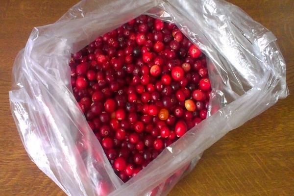 mga cranberry sa isang bag