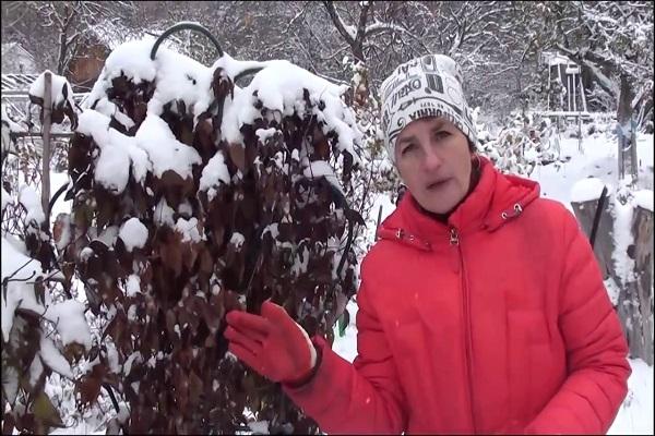 Winter im Ural