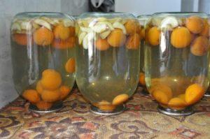Een stapsgewijs recept voor het maken van appel- en abrikozencompote voor de winter