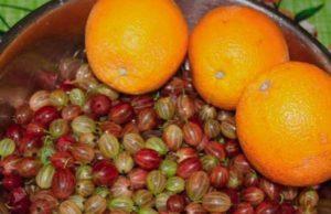 A 15 legjobb recept narancsos egres lekvár készítésére télen