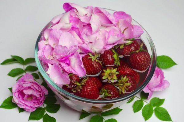 Erdbeeren mit Rosenblättern