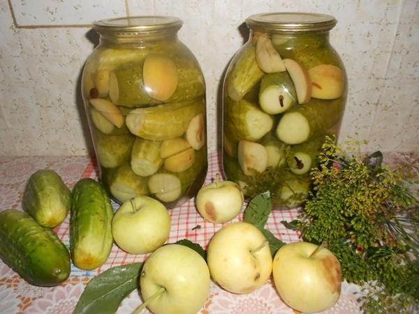 Pittige licht gezouten komkommers met appels