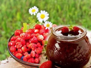 14 bästa recept för att förbereda vilda jordgubbar för vintern