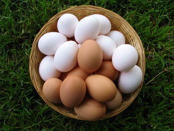 Kuracie vajcia rôznych odtieňov