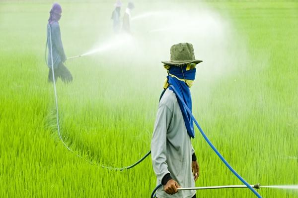 práce s herbicidy v terénu