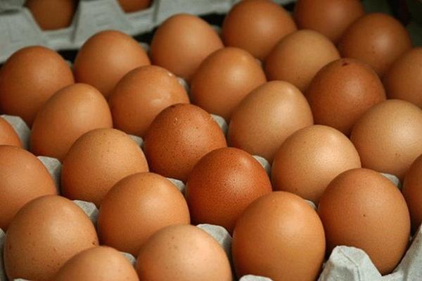 Hnedé vajcia