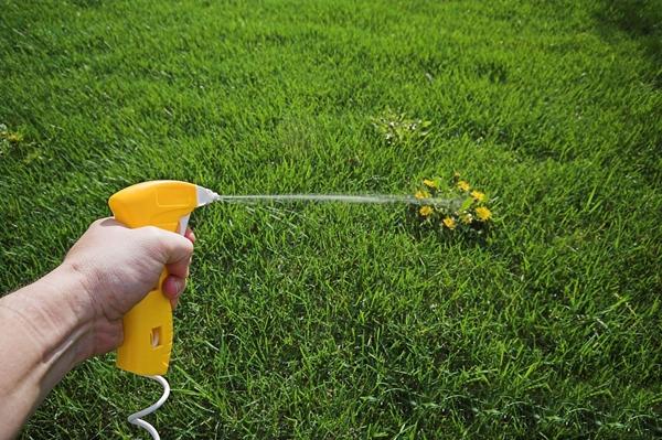 Hoe herbiciden correct toe te passen