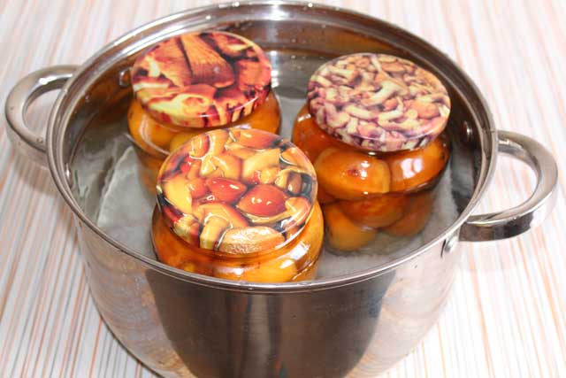 abrikozen zonder te koken