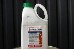Pokyny na použitie fungicídu Alto Super a ako pripraviť pracovný roztok