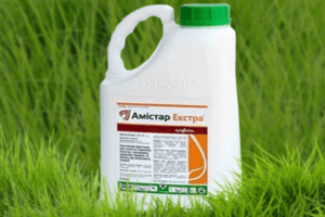 Návod na použitie fungicídu Amistar Extra a spôsob prípravy roztoku