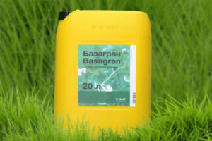 Instructies voor het gebruik van herbicide Basagran en het werkingsmechanisme