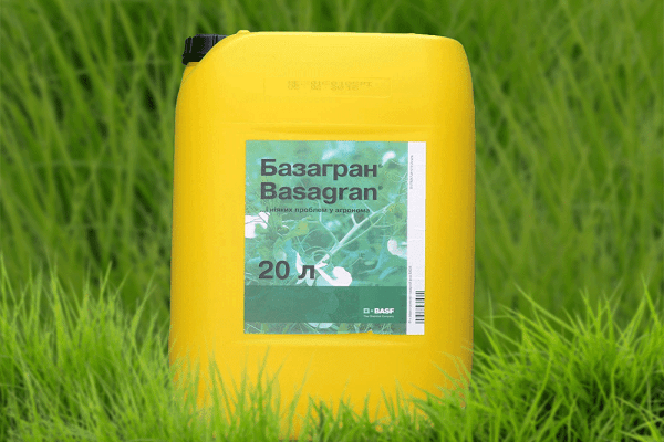 herbicide Bazagran